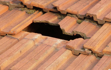 roof repair Tottenhill Row, Norfolk